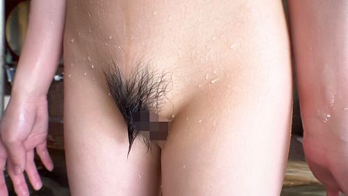 ポスター画像