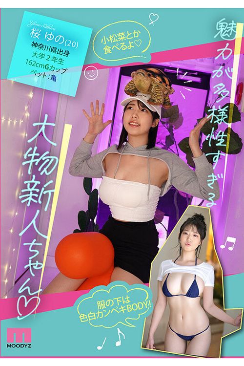 ポスター画像