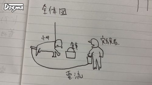 ポスター画像