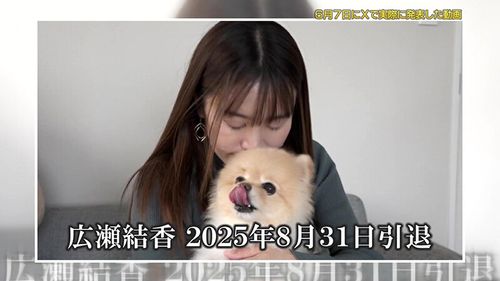 ポスター画像