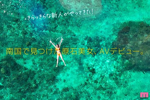 ポスター画像