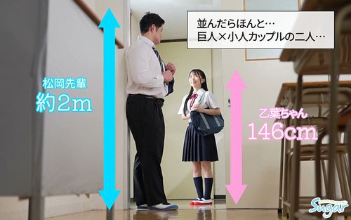 ポスター画像